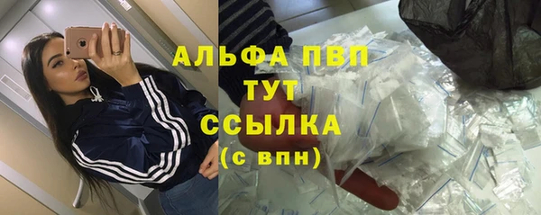 индика Верхний Тагил