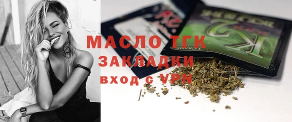 индика Верхний Тагил