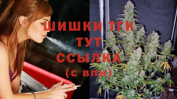 герыч Бородино