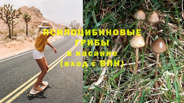 таблы Верея