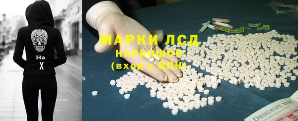 индика Верхний Тагил