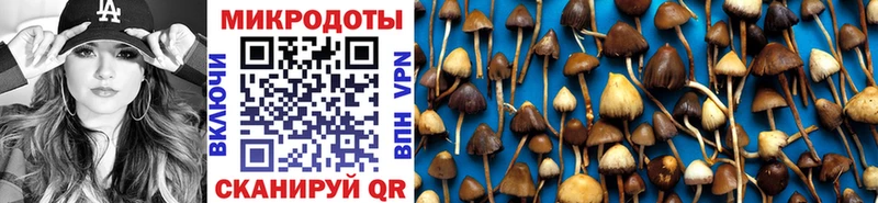 Галлюциногенные грибы Magic Shrooms  Карпинск 